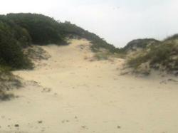 Highlight of Eco-Tour is NaNa, the tallest sand dune in Florida